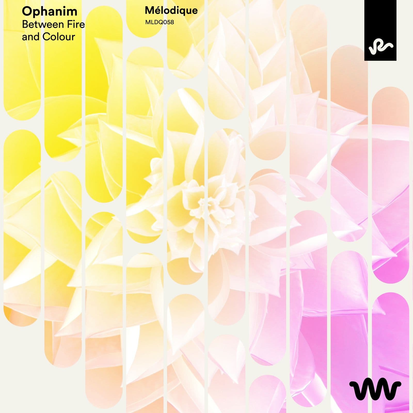 Ophanim-Between_Fire_and_Colour-_MLDQ058_-WEB-2026-PTC