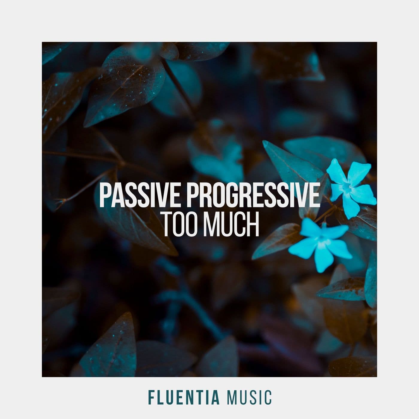 Passive_Progressive-Too_Much-_FLUENTIA088-0_-WEB-2026-PTC