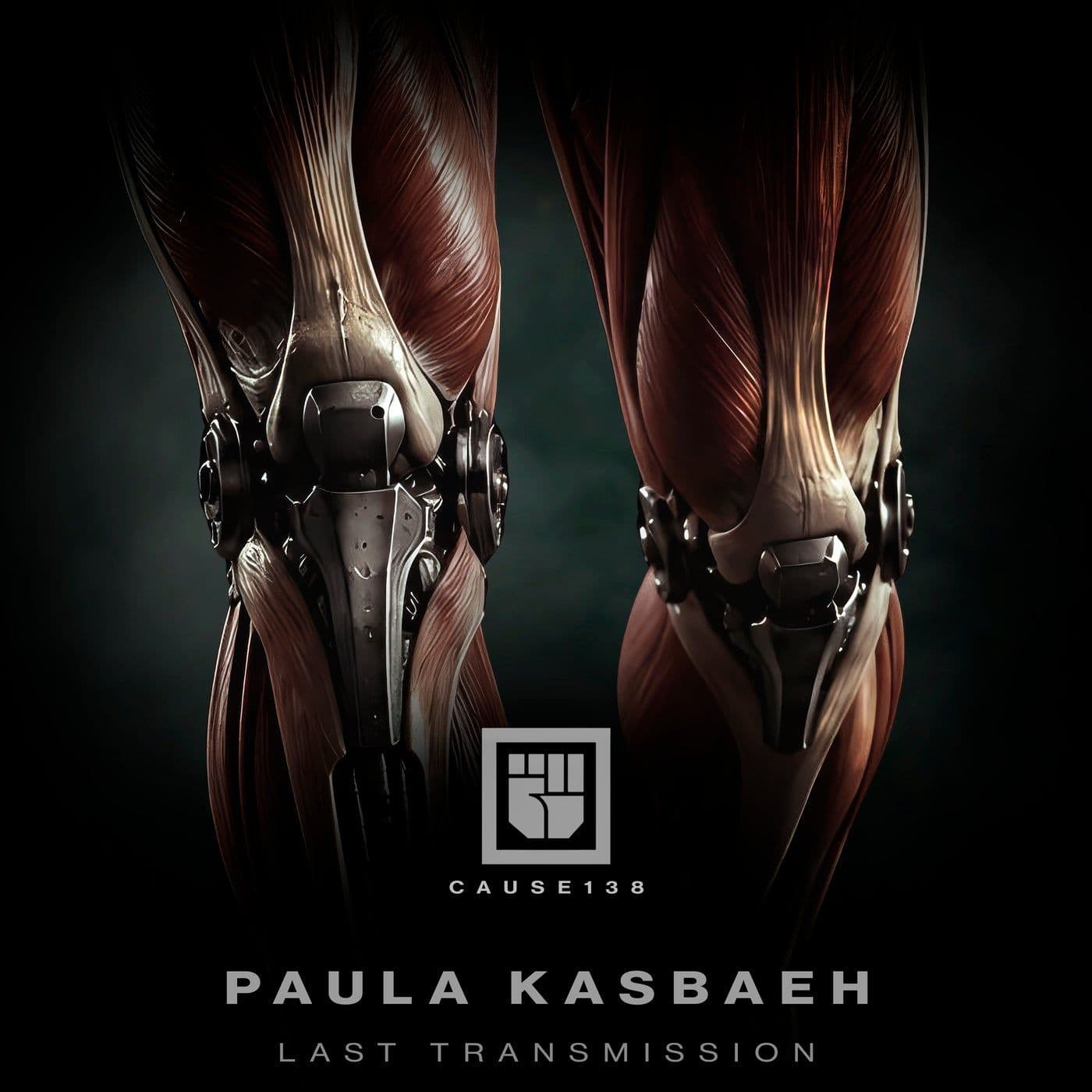 Paula_Kasbaeh-Last_Transmission-_CAUSE138_-WEB-2026-PTC