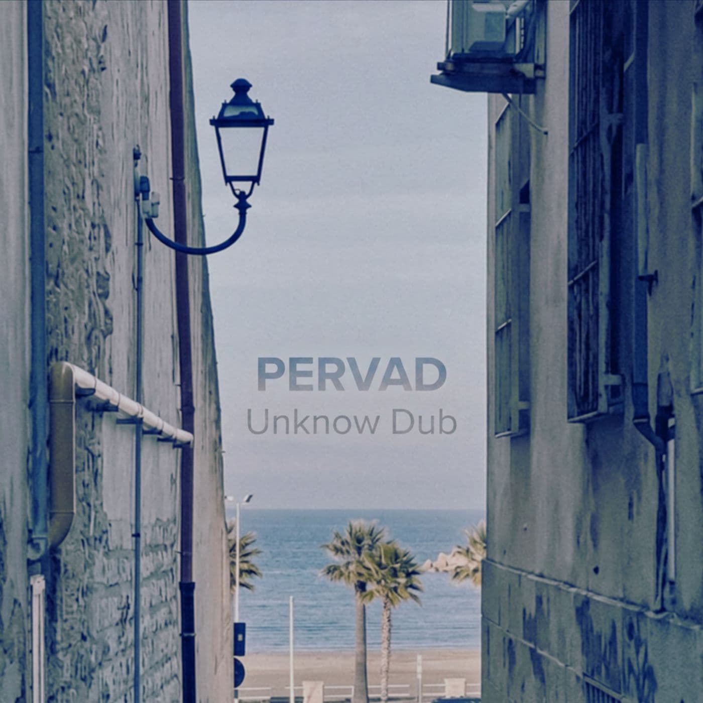 Pervad-Unknow_Dub-_ORG027_-WEB-2026-PTC