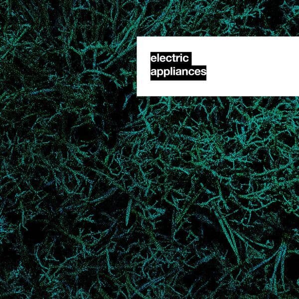 Polybot-Computerized_Dance_Movements-_EA017_-24BIT-WEB-FLAC-2024-BABAS