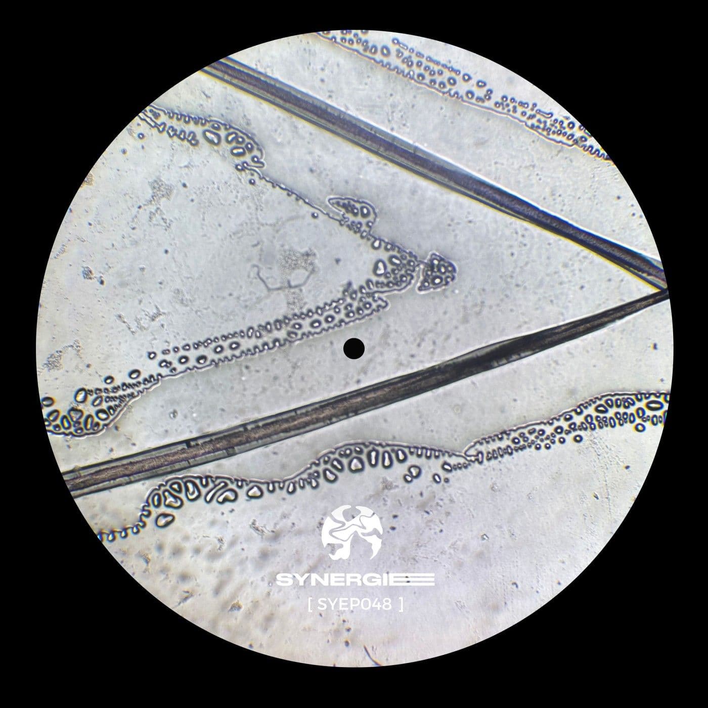 Pont-Vector_Protocol-_SYEP048_-24BIT-WEB-FLAC-2026-PTC