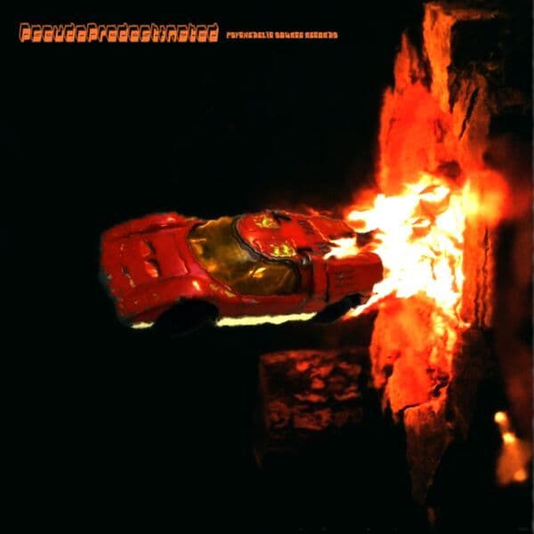 Psychedelic_Source_Records-Pseudopredestinated-16BIT-WEB-FLAC-2026-STONERD