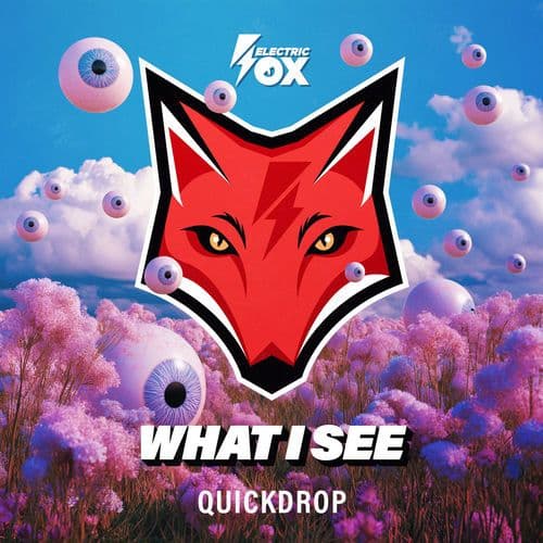 Quickdrop_-_What_I_See-_ELFX120_-SINGLE-WEB-2026-FMC