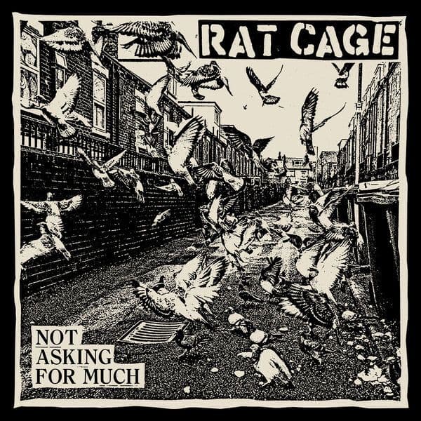 Rat_Cage-Not_Asking_for_Much-_WEB_-2026-RUMBLE