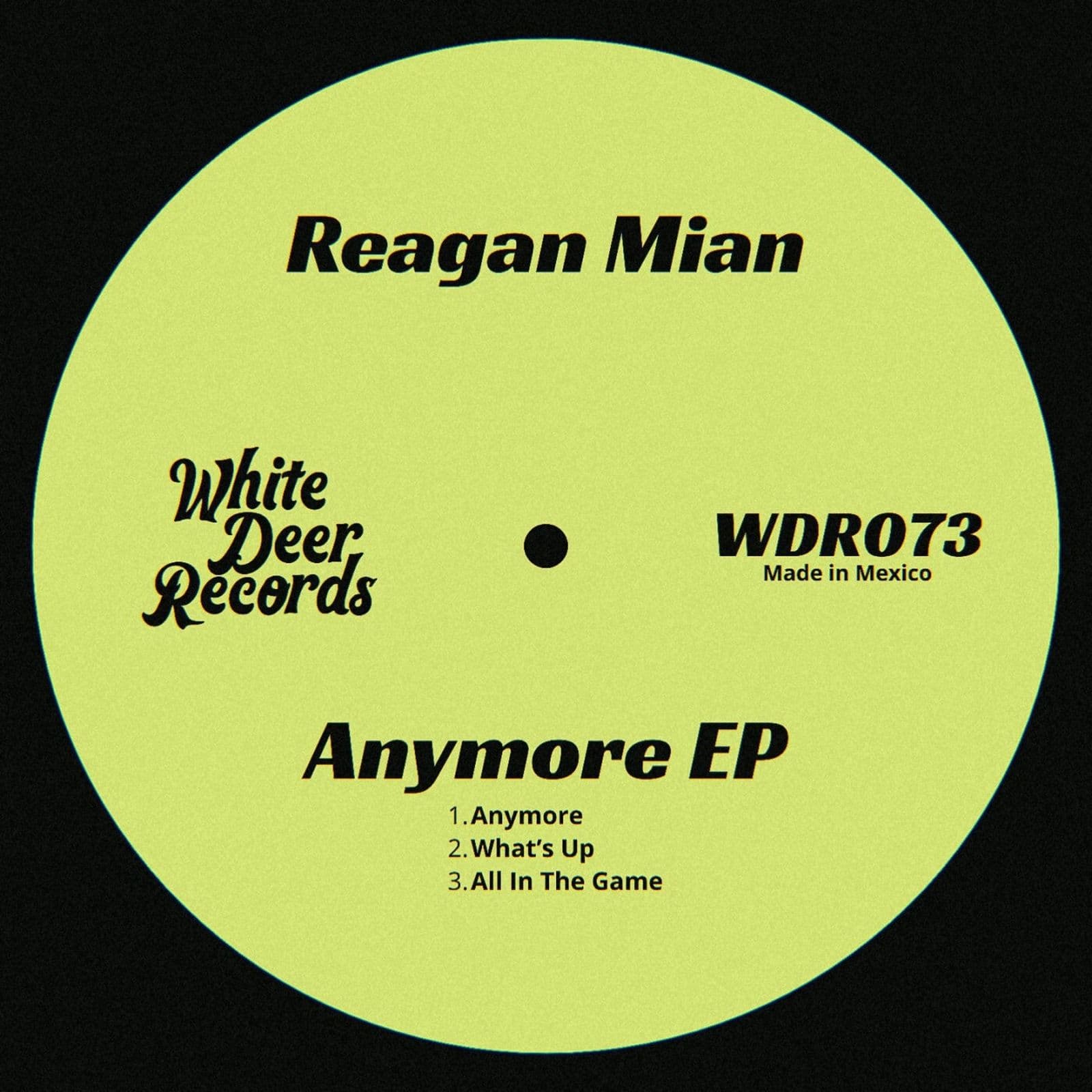 Reagan_Mian-Anymore_EP-_WDR073_-WEB-2026-BB