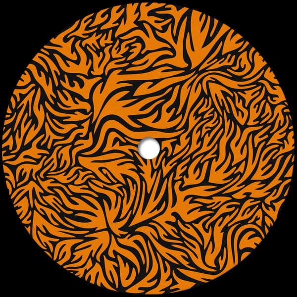 Roman_Flugel-Cooking_The_Books_EP-_PHONICA041_-24BIT-WEB-FLAC-2025-BABAS