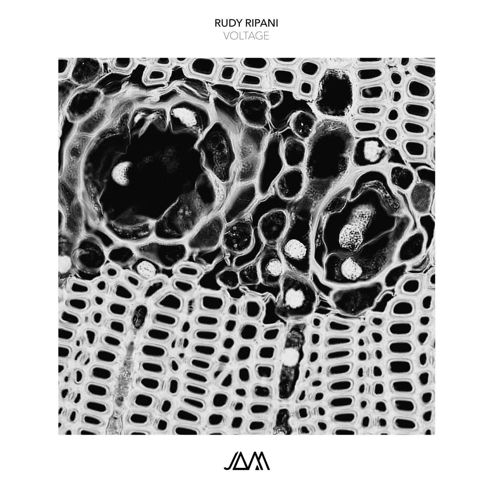 Rudy_Ripani-Voltage-_JAM095_-24BIT-WEB-FLAC-2026-PTC