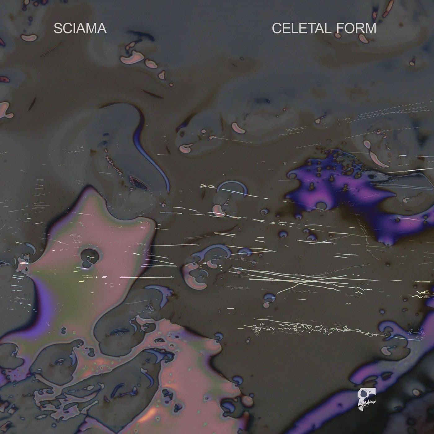 Sciama-Celetal_Form-_SMDELP20_-WEB-2026-PTC