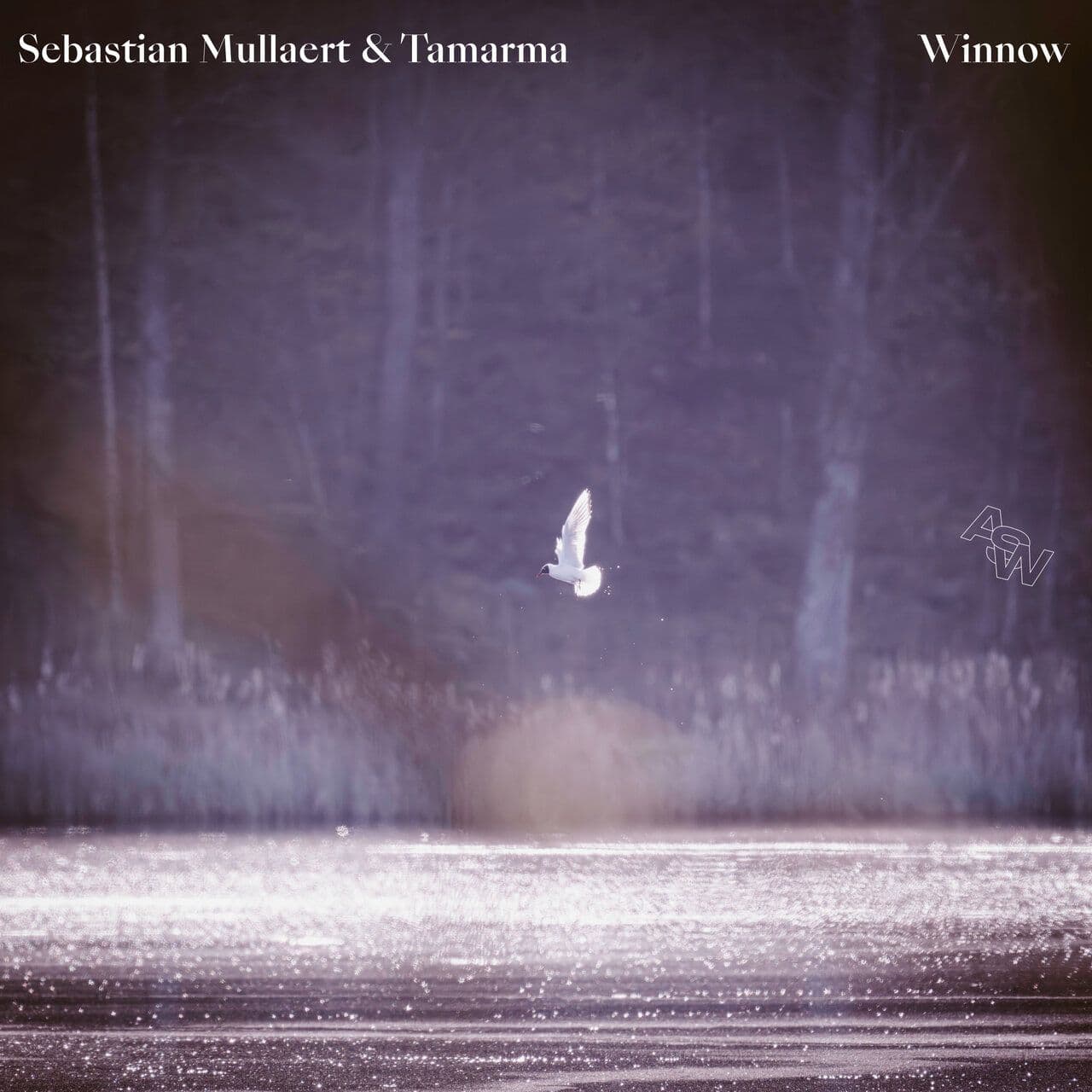 Sebastian_Mullaert_And_Tamarma-Winnow-ASW082-24BIT-WEB-FLAC-2026-WAVED