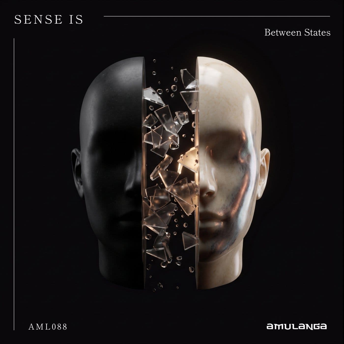 Sense_IS-Between_States-_AML088_-WEB-2026-PTC
