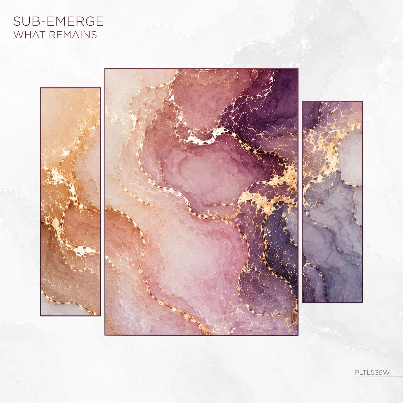 sub-Emerge-What_Remains-_PLTL536W_-WEB-2026-PTC