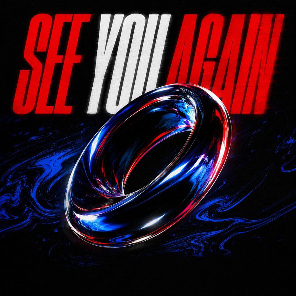 SubDown_-_See_You_Again-_882792496816_-SINGLE-WEB-2026-ZzZz