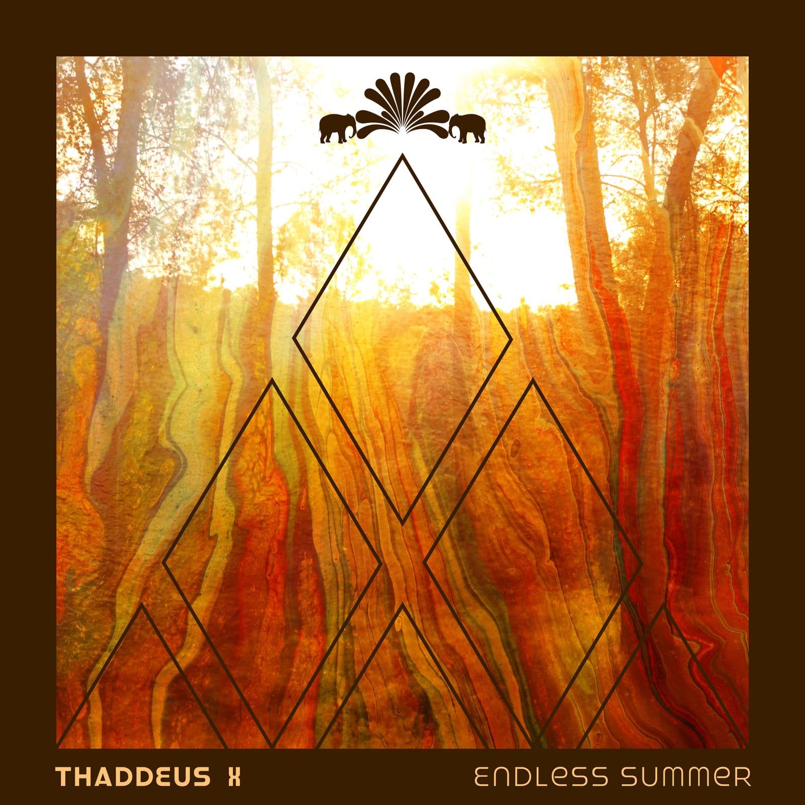 Thaddeus_X--Endless_Summer-_3000GRADSPECIAL066_-WEB-2026-SHELTER