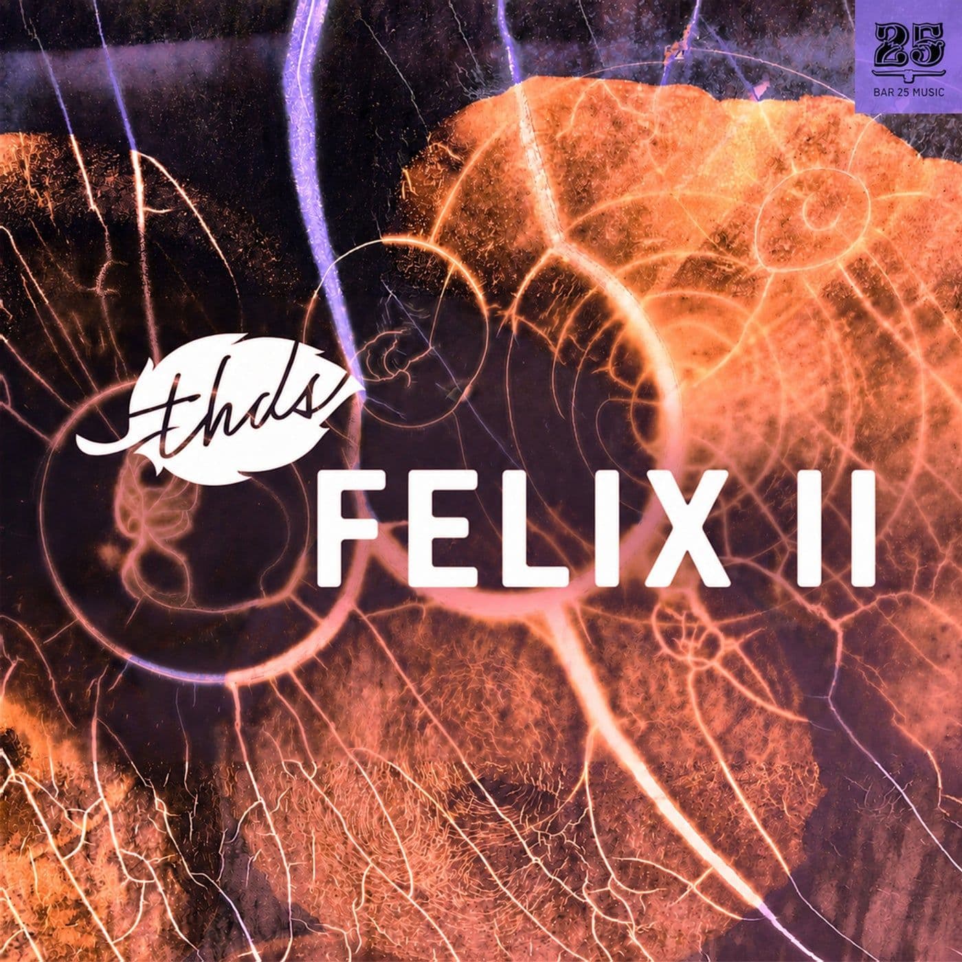 thds-Felix_II-_BAR25271_-WEB-2026-PTC