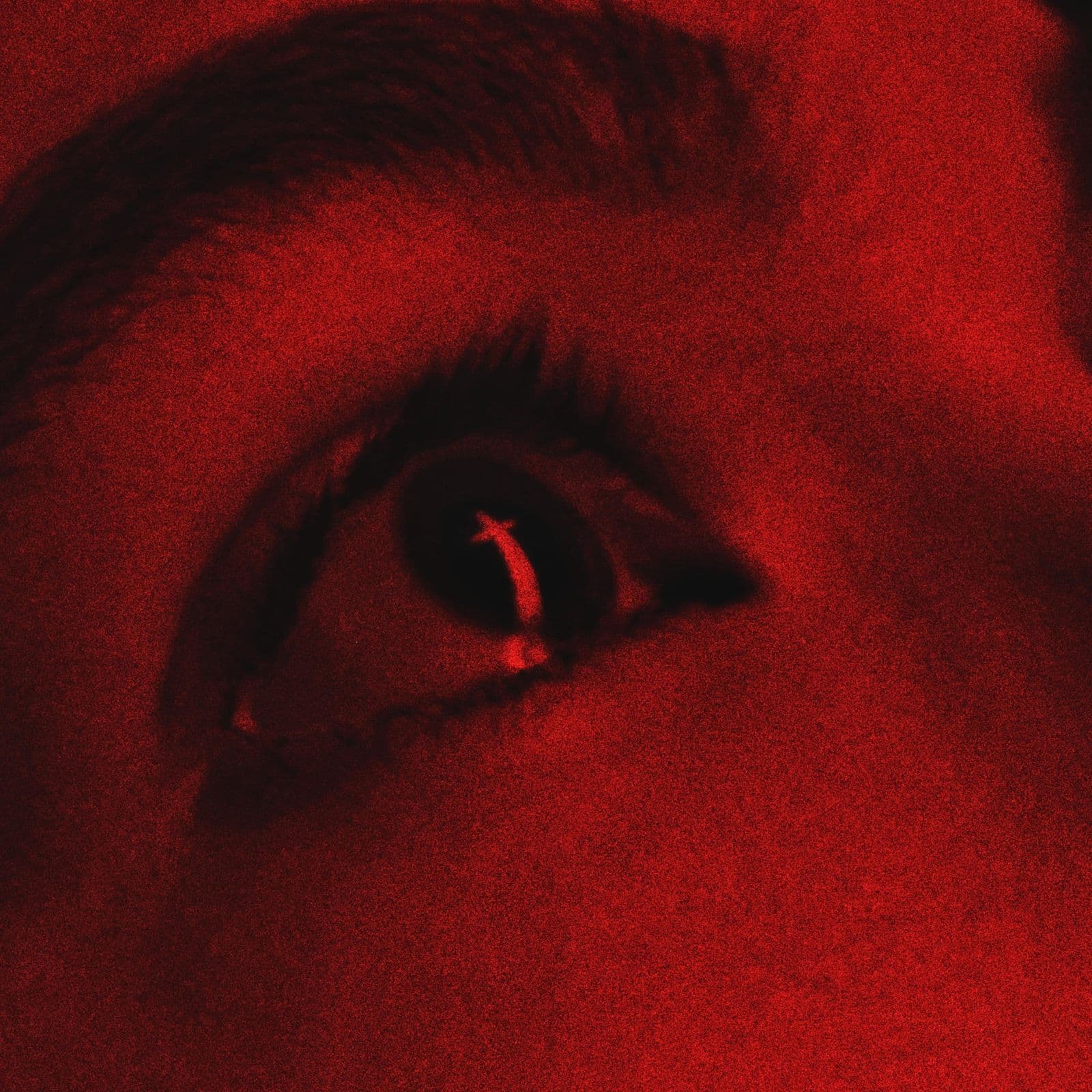 The_Forest_Forgets-Godweight-WEB-2026-BLEEDiNG