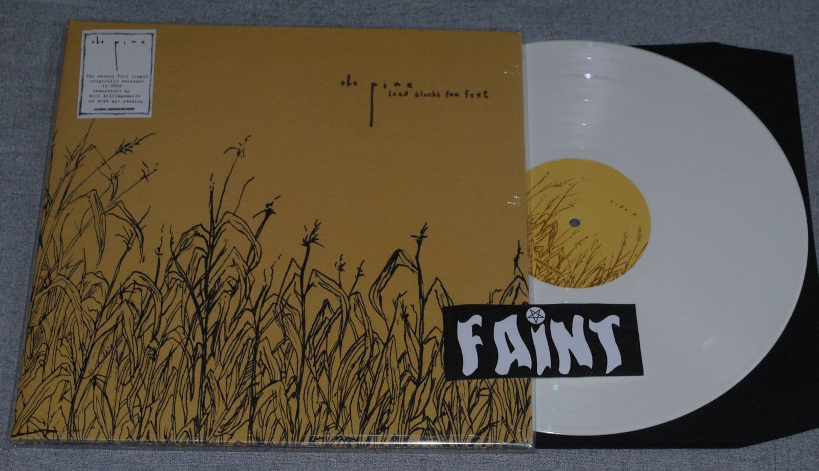 The_Pine-Lead_Blocks_For_Feet-REMASTERED-VINYL-FLAC-2026-FAiNT