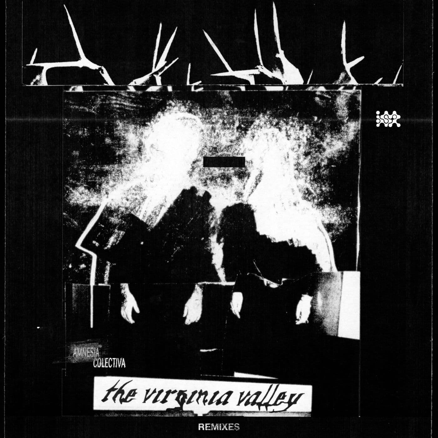 The_Virginia_Valley-Amnesia_Colectiva_Remixes-_INSHAH114_-WEB-2026-PTC
