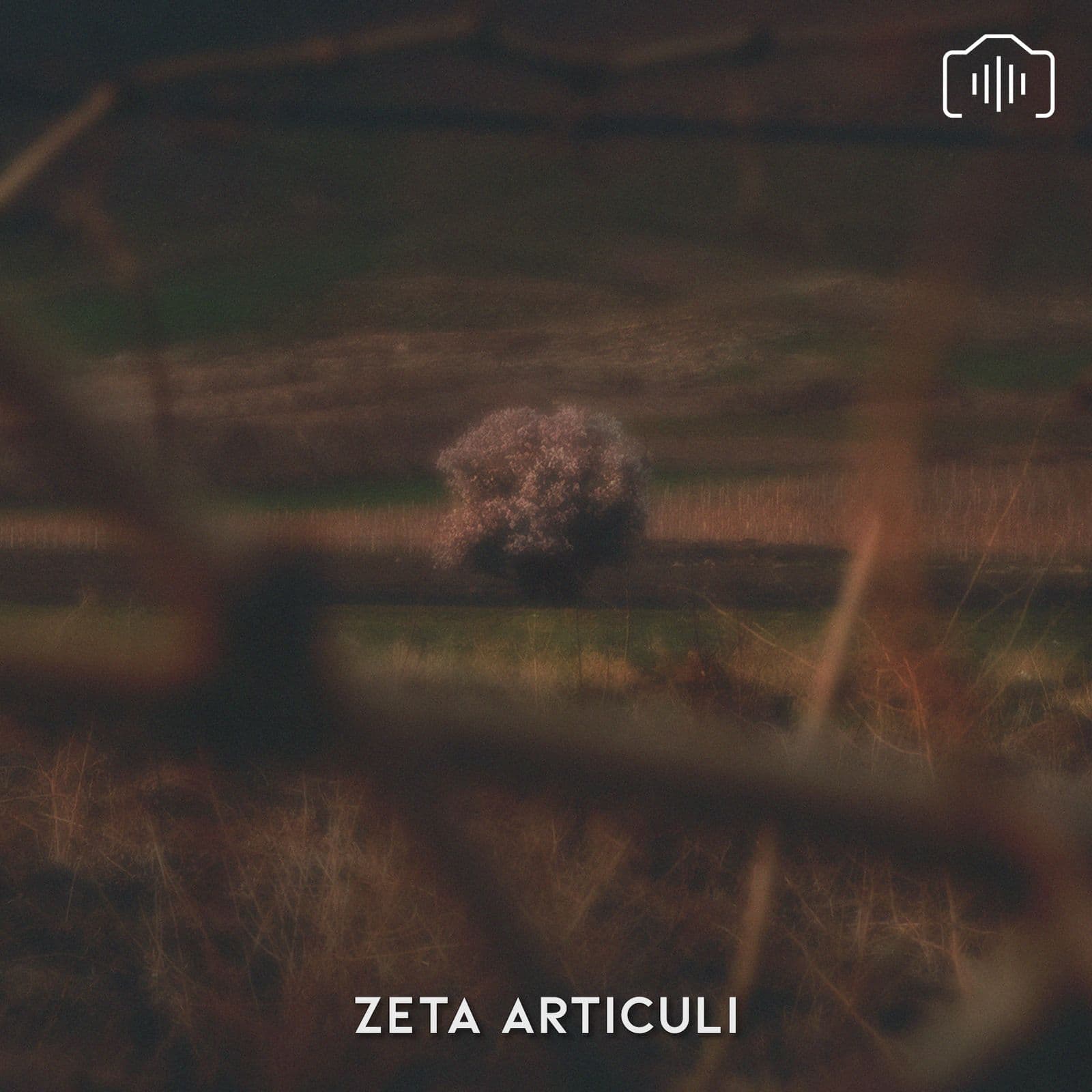 Thenticy-Zeta_Articuli-_SIP104_-WEB-2026-PTC