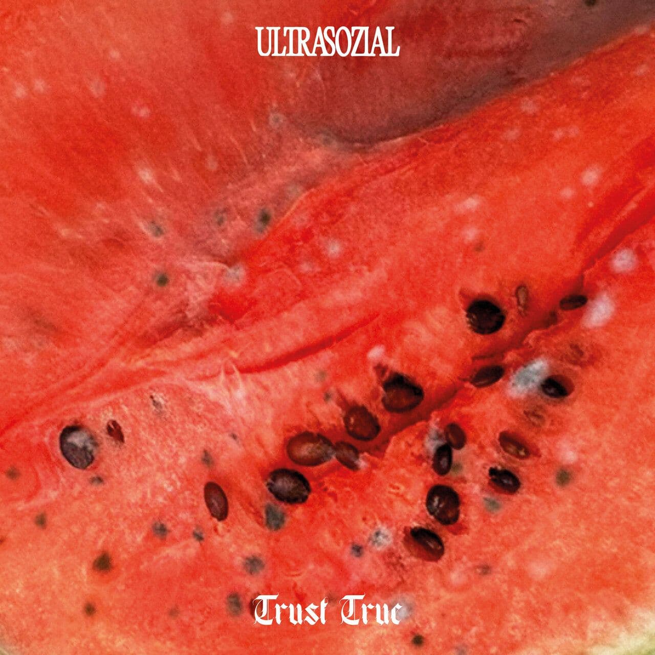 Trust_True-Unison_Saw_Garden-US02-16BIT-WEB-FLAC-2026-WAVED