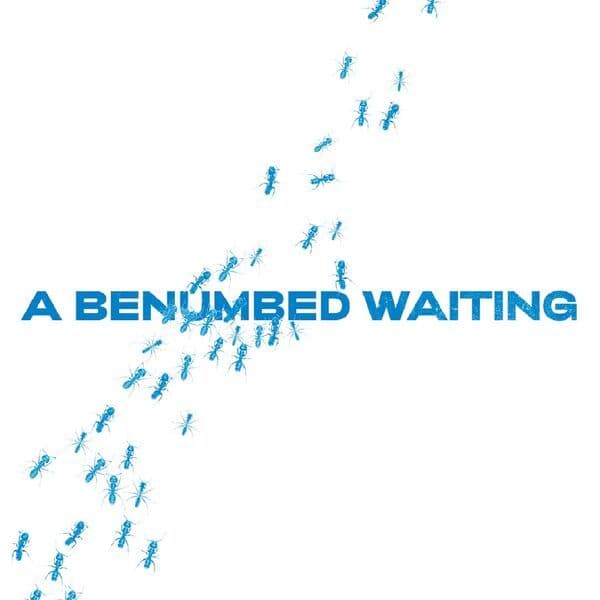VA-A_Benumbed_Waiting-_SLVMNCR010_-16BIT-WEB-FLAC-2025-BABAS
