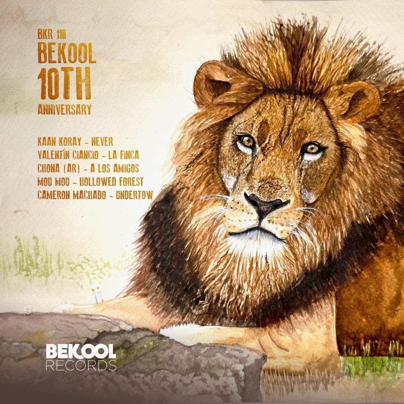 VA-BEKOOL_10th_Anniversary-_BKR110_-WEB-2026-PTC