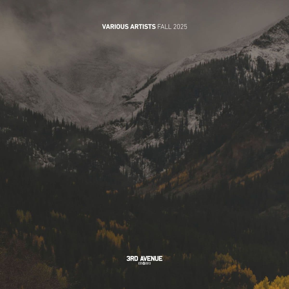 VA-Best_Of_3rd_Avenue_Fall_2025-_3AVLP090_-WEB-2025-BABAS