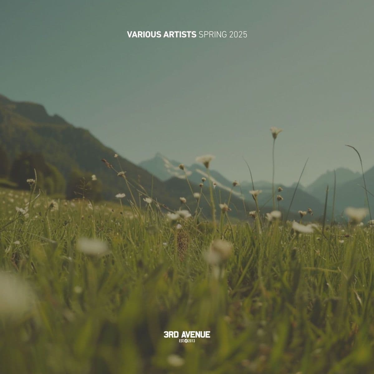 VA-Best_Of_3rd_Avenue_Spring_2025-_3AVLP084_-WEB-2025-BABAS