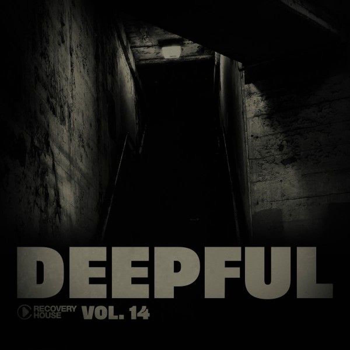 VA-Deepful_Vol._14-_RHCOMP4698_-WEB-2025-COS
