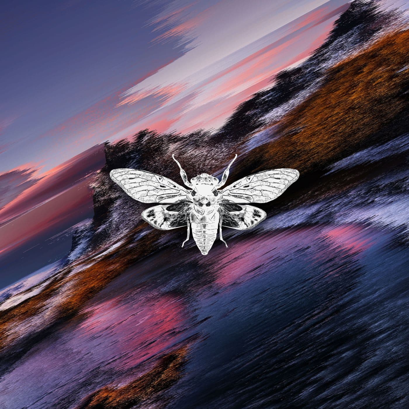 VA-Distorted_Reality_Vol._V-_CR045_-WEB-2026-PTC