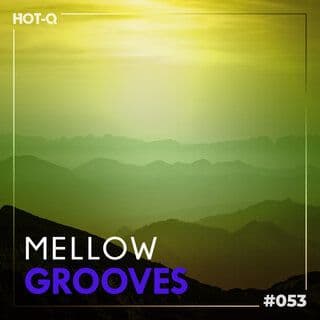 VA-Mellow_Grooves_053-16BIT-WEB-FLAC-2026-RAWBEATS