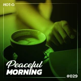 VA-Peaceful_Morning_029-16BIT-WEB-FLAC-2023-RAWBEATS