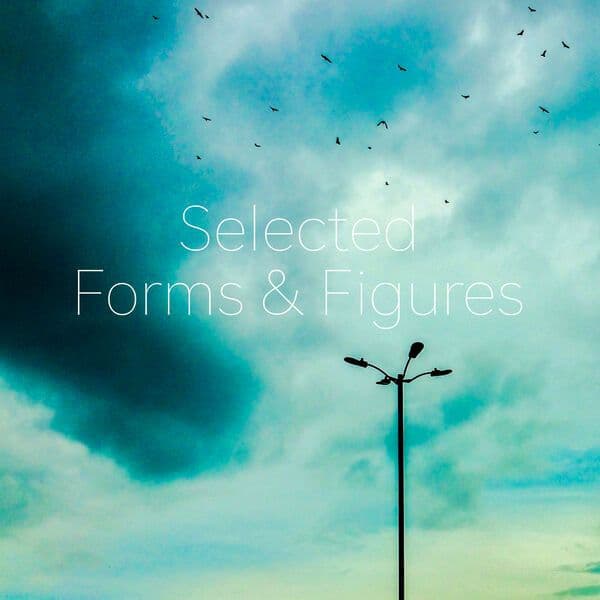 VA-Selected_Forms_And_Figures_2024-_FFCOMP3_-16BIT-WEB-FLAC-2024-BABAS