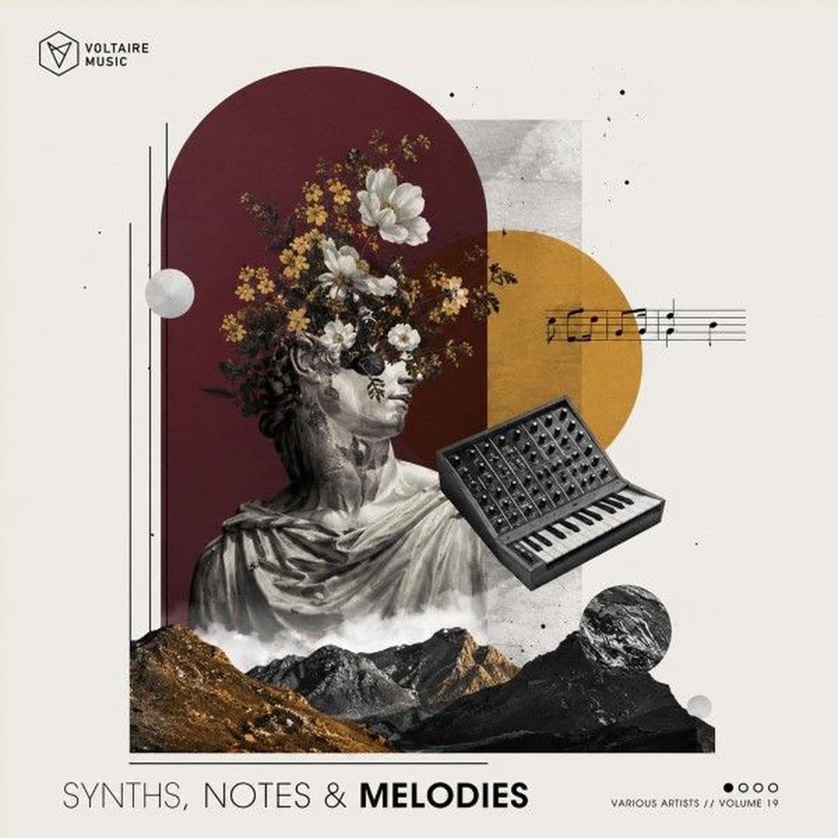 VA-Synths_Notes_And_Melodies_Vol._19-_VOLTCOMP1782_-WEB-2026-COS