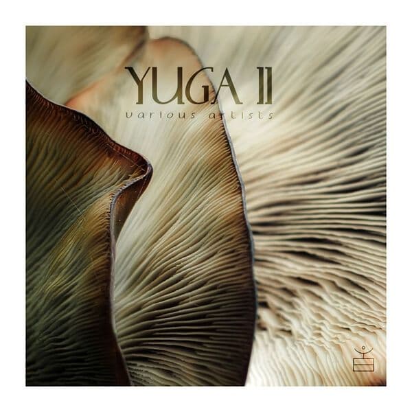 VA-Yuga_II-_LSYA006_-16BIT-WEB-FLAC-2024-BABAS