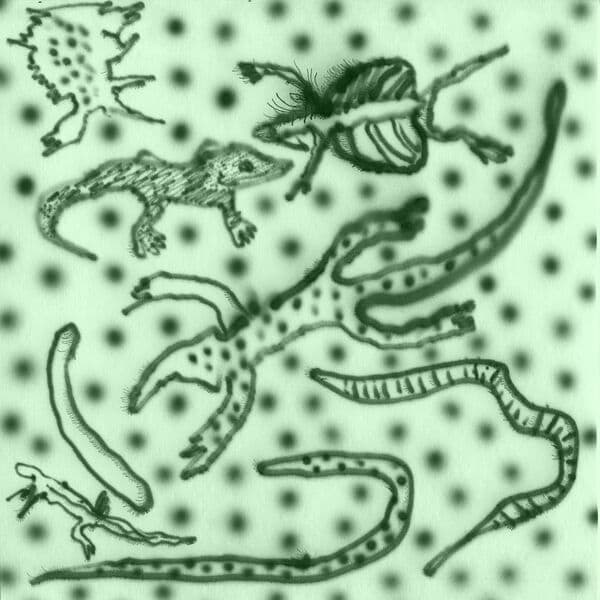 Vesus-List_Of_Lizards_IV-_MANAGUA002_-24BIT-WEB-FLAC-2026-BABAS