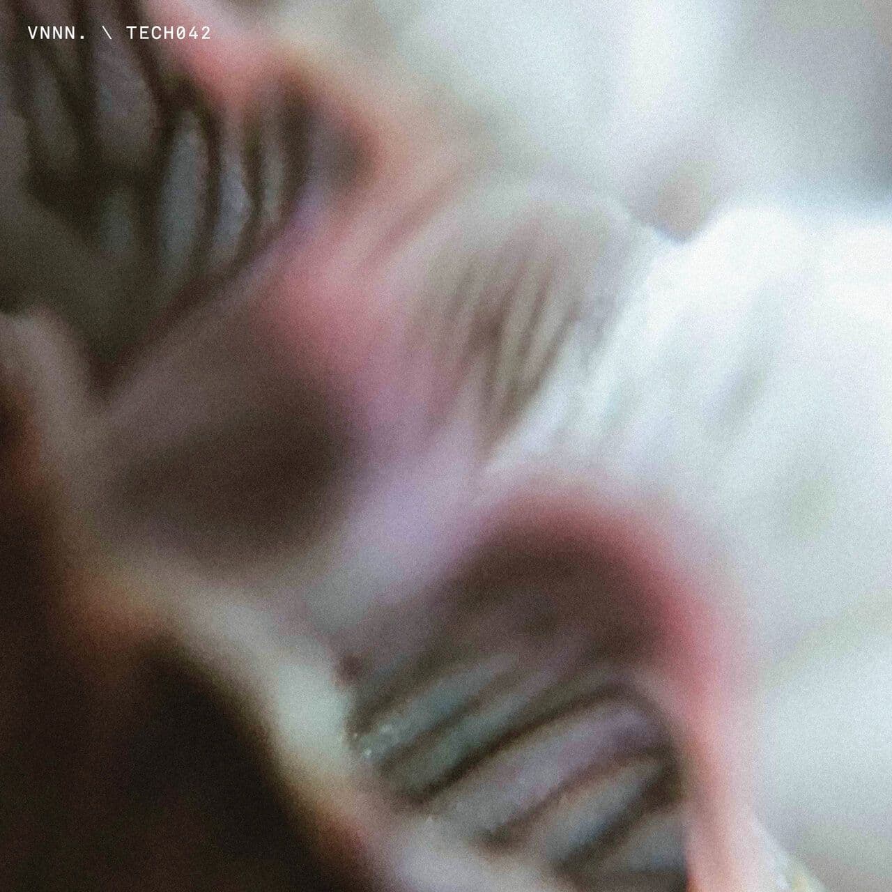 Vnnn.-TECH042-16BIT-WEB-FLAC-2026-WAVED