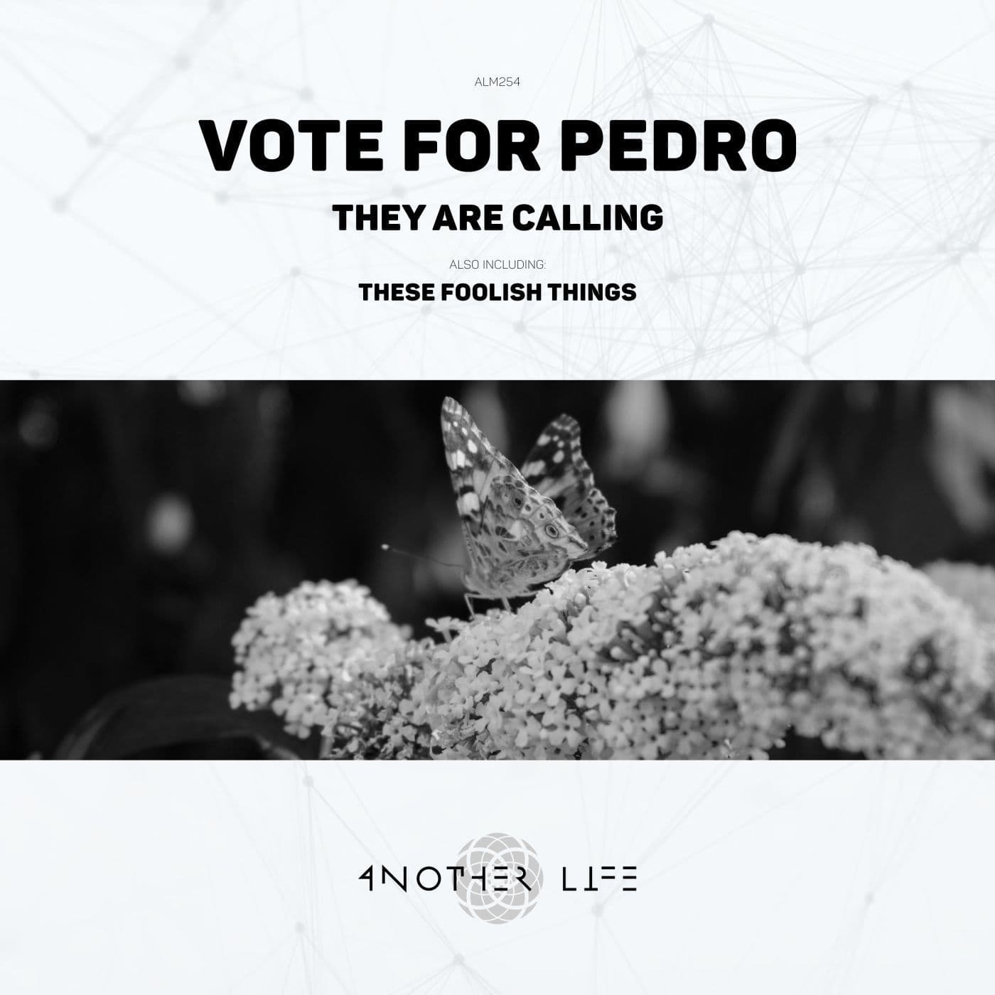 Vote_for_Pedro-They_Are_Calling-_ALM254_-WEB-2026-PTC