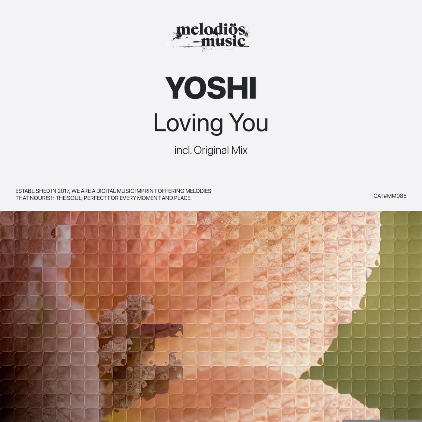 Yoshi-Loving_You-_MM085_-SINGLE-WEB-2026-PTC