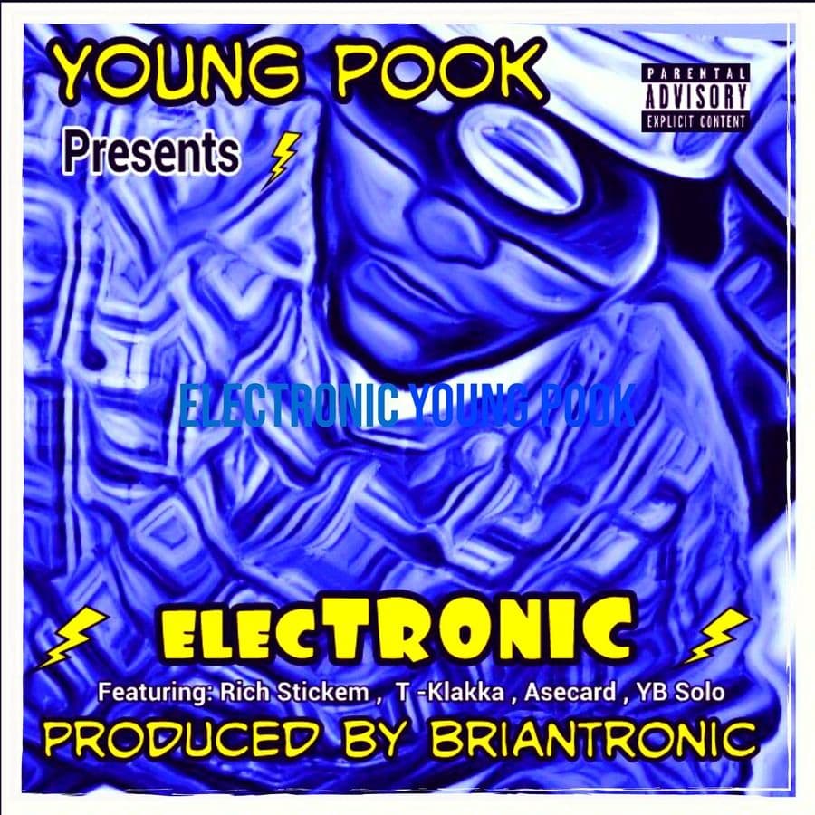 Young_Pook_And_BrianTronic-ElecTronic-WEB-2024-RAGEMP3
