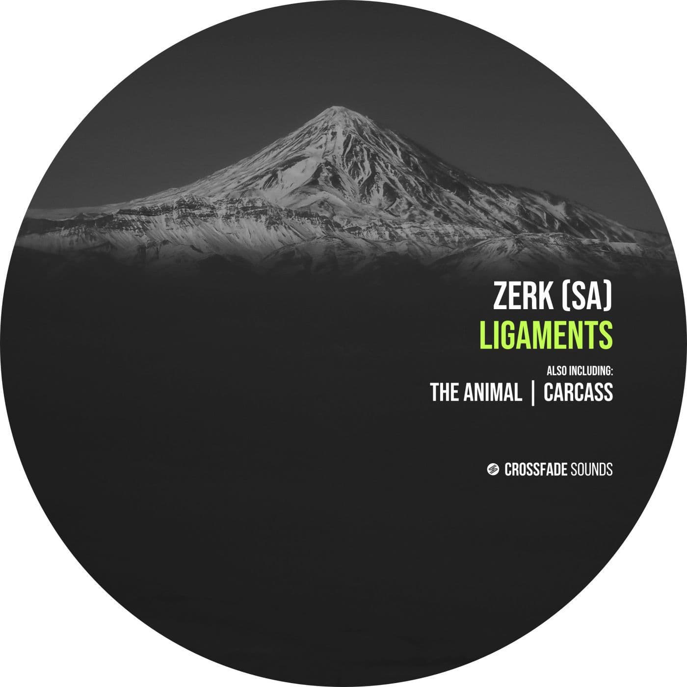 Zerk_SA_-Ligaments-_CS287_-WEB-2026-PTC