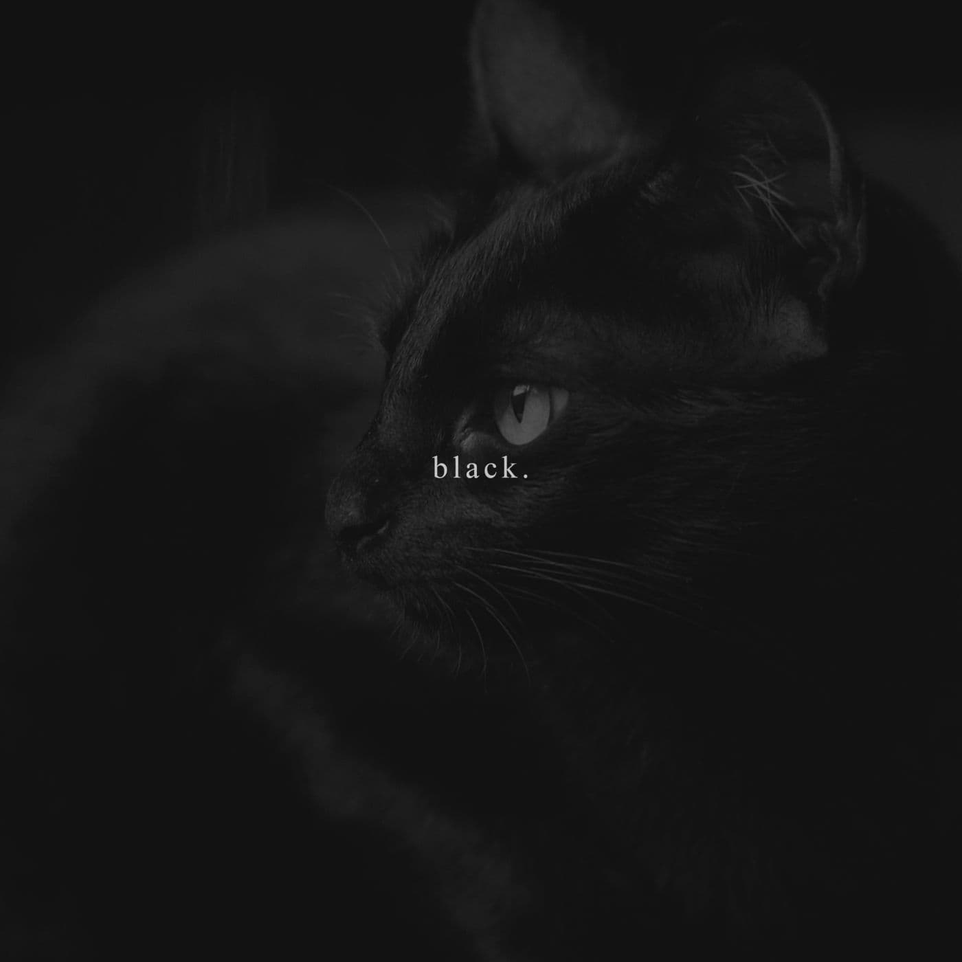 Roald_Velden_-_Black-_RV003_-SINGLE-WEB-2025-iDC