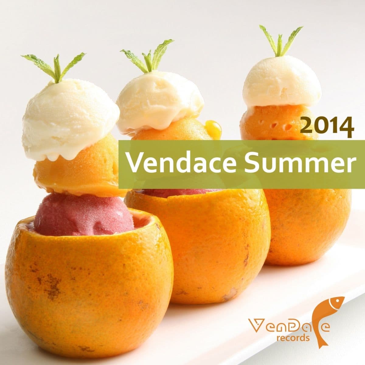 VA_-_Vendace_Summer_2014-_VENDACEC005_-WEB-2014-iDC