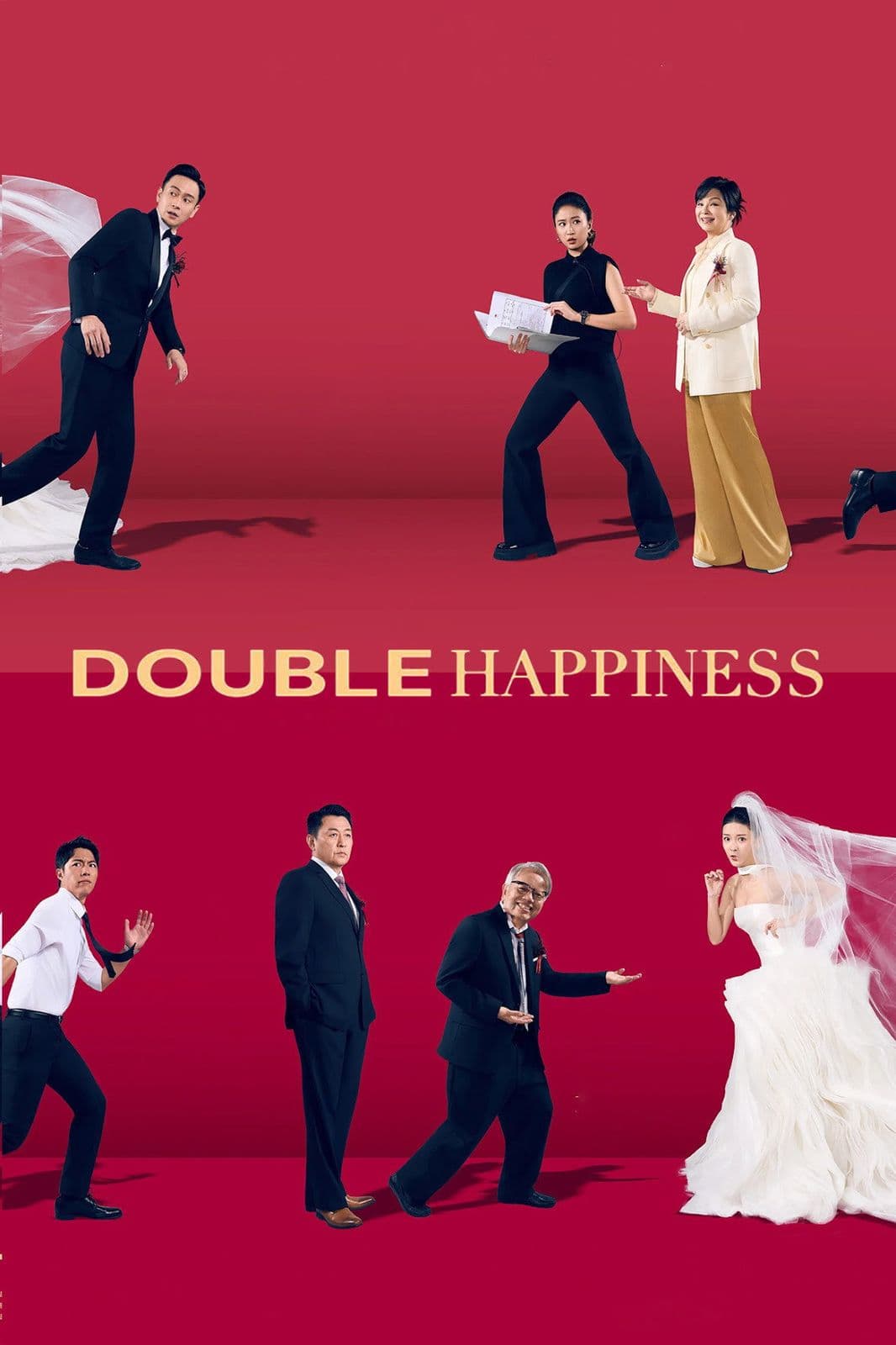 Double Happiness 2025 1080p WEBRip 5 1-WORLD