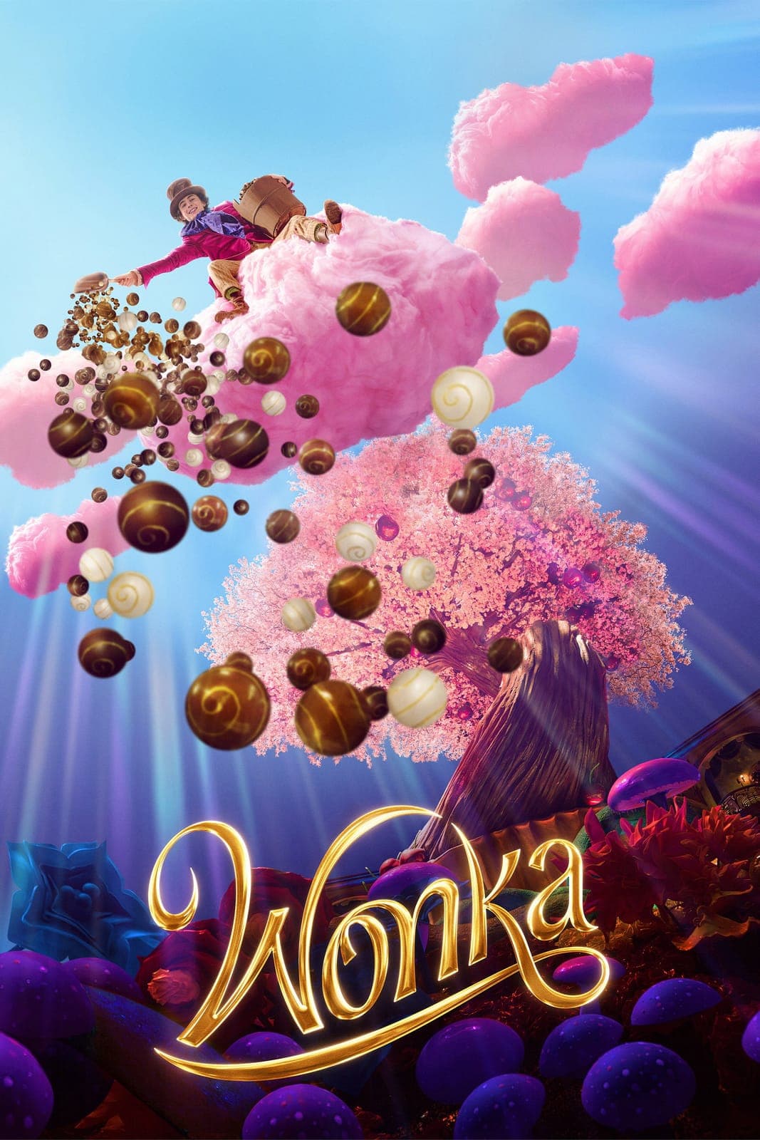Wonka 2023 1080p DUAL TV WEB DL x264 AAC HdT