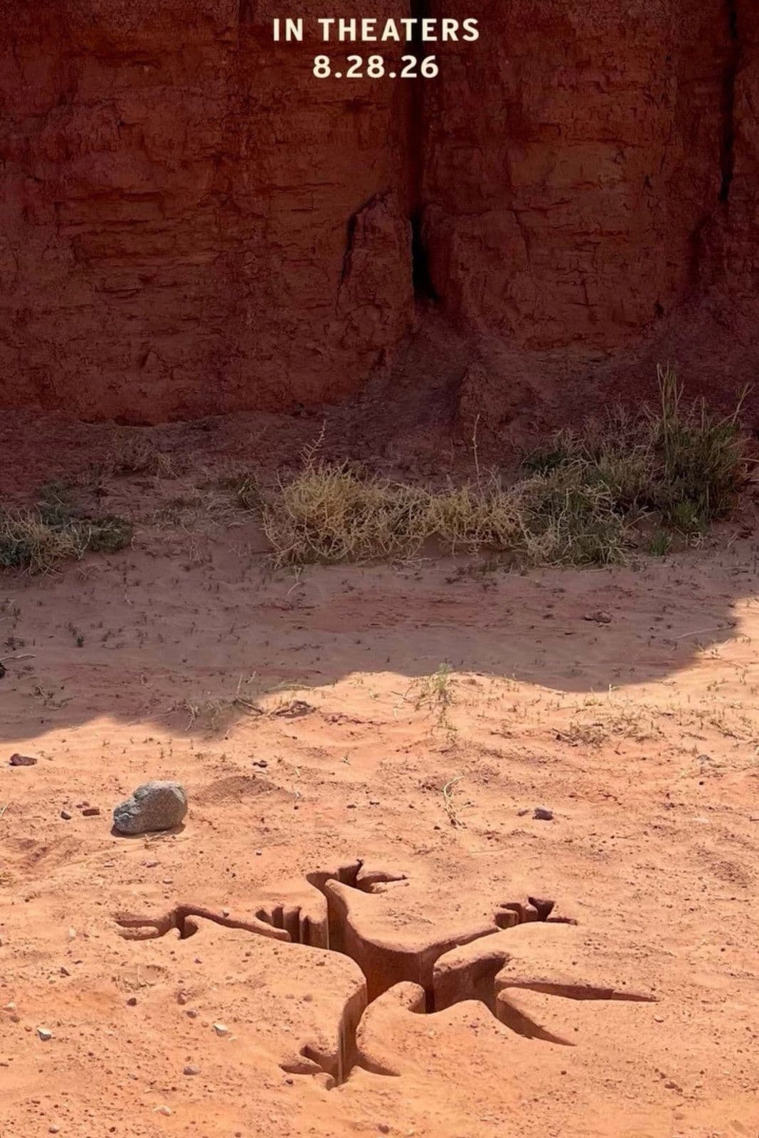 Coyote.vs.Acme.2026