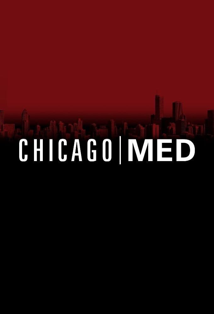 Chicago Med S10E16 MULTi XviD-AFG