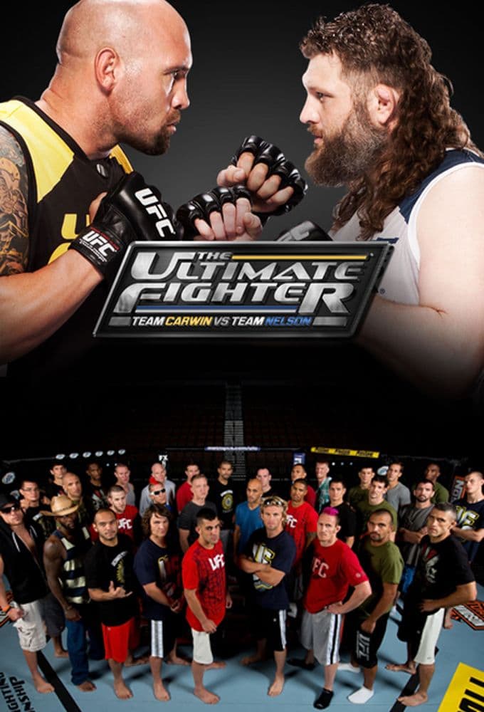 The Ultimate Fighter S34E06 PROPER 480p x264-mSD