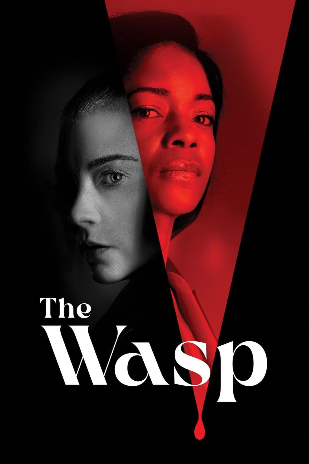 The Wasp 2024 1080p AMZN WEB DL DDP5 1 H 264-FLUX