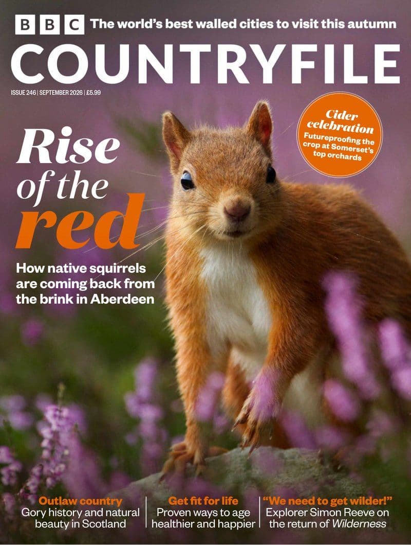 BBC Countryfile No 246 - 2026 [EN]